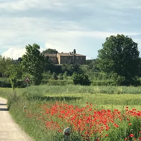 Maesta Dei Mori